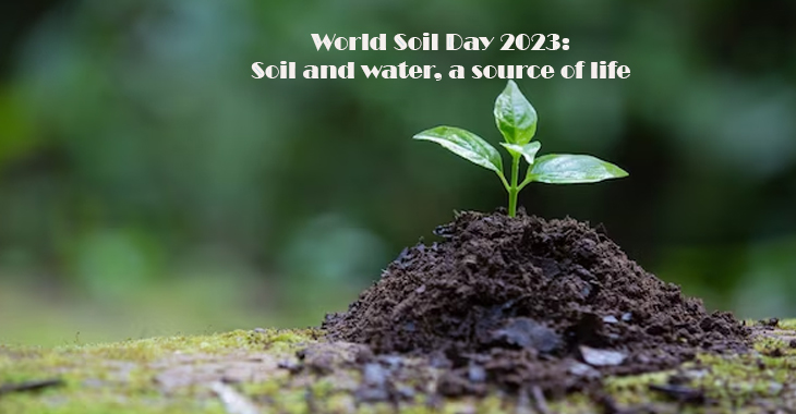 World Soil Day 2023: Soil and water, a source of life