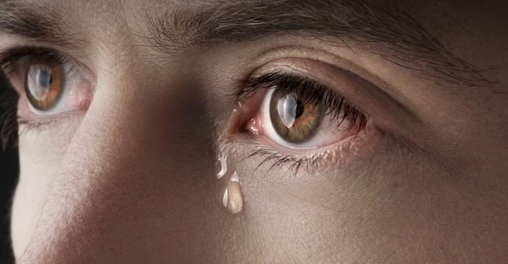 The first human eye tissue model creates "tears in a dish"