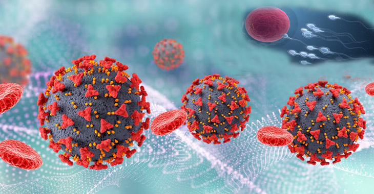 COVID virus can alter sperm and increase the likelihood of anxiety in subsequent generations