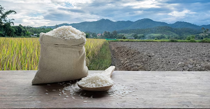 Mauritius is eager to increase its rice imports from India