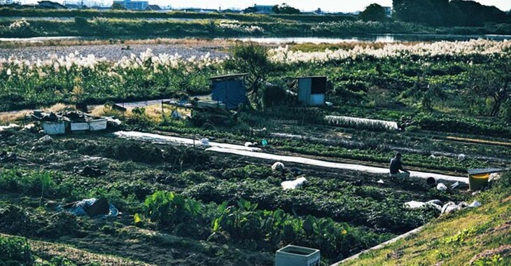 Government initiatives in the plant-based fiber industry turn waste into rural revenue