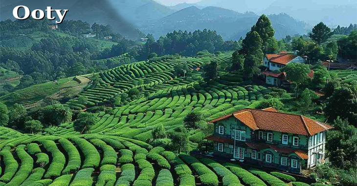 Ooty, Tamil Nadu