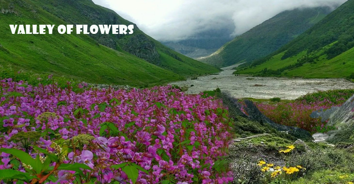 Valley of Flowers, Uttarakhand
