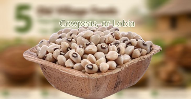 Cowpeas, or Lobia: The Affordable Pulse of Dryland Farming