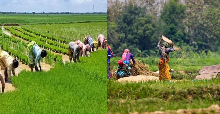 Celebrating Women Farmers’ Contributions Beyond Cinematic Representation